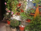 Picture 032