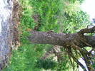 DSCF0558
