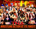 TNA-impact-wrestlers-knockouts-wallpaper-preview