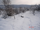 DSC08731
