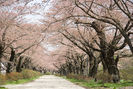 800px-Tenshochi_Park