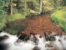 56_LittleColoradoRiverUSA_freeforestnature_computerdesktopwallpaper_x