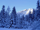 Christmas Wallpapers (326)