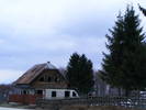 DSCF7646