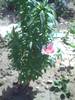PICT0051