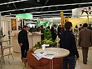 DSC03346