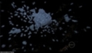 H2O-h2o-just-add-water-2549783-120-69