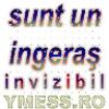 sunt un ingeras invizibil copy copy