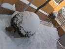 18 decembrie 030