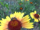 PICT0091