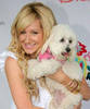 ashley_tisdale_pic_1