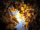 Poze super_ poze supertari_ Imagini Tari_ Peisaje de Toamna 2