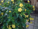 DSC09837