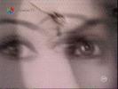 Image1119-0934(nationaltv)[15]