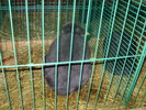P8161769