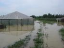 inundatii (82)
