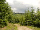 DSCF6076