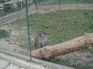 Picture 020
