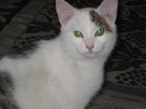 23 dec 2007 014