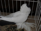 DSCN0156