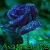 www_avatarele_ro__1198000604_271588