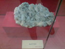 DSC00467