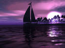 Purple-Wallpaper-purple-558780_1024_768