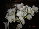 DSC02567