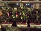 Imag017