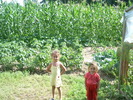 Picture 028