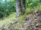 DSCF2579