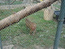 Picture 021
