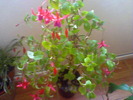 Picture 022
