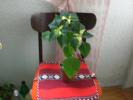 Picture 029