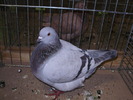 5374 t 0