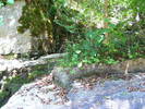 DSCF4670