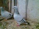 Imag035