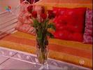 Image0121-1737(nationaltv)[1]
