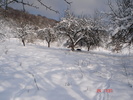 DSC08748