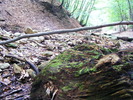 DSCF4875
