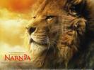 08-narnia-wallpaper-800x600-lion[1]