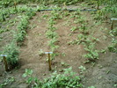 IMAG0051