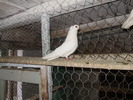 P8292232