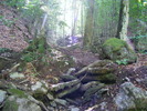 DSCF5120