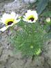 PICT0013