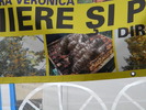 DSCN3180