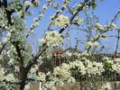 2009_04120065