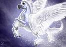 unicorns-8