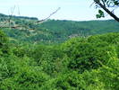 DSCF0520