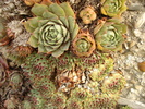 DSC01645